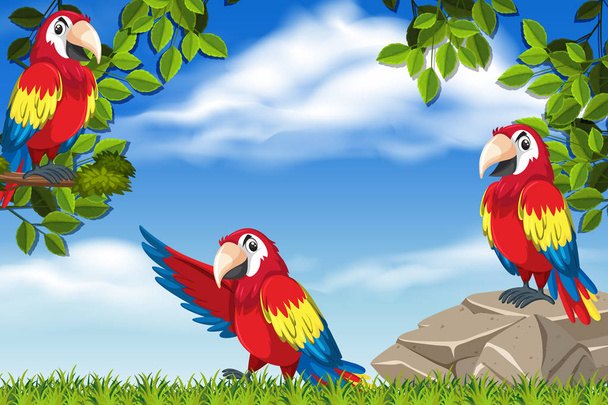 Parrots in jungle scene - Vector, Image