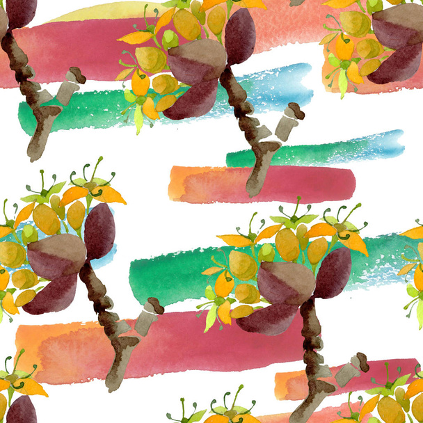 Cornus mas floral botanical flowers. Watercolor background illustration set. Seamless background pattern. - 写真・画像