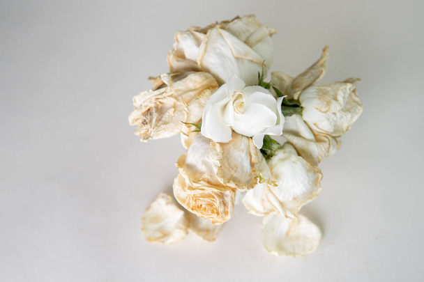 Flowers of white roses, in a cup on a white background dried flowers, dried happy - Photo, Image