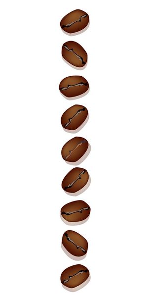 Différents types de grains de café dans une rangée verticale
 - Vecteur, image