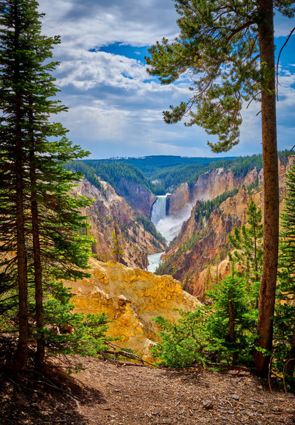 Veiw of Lower Yellowstone Falls through the trees with the Grand - Photo, Image