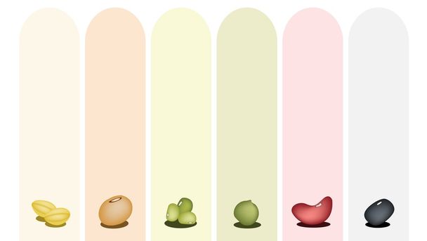 verzameling van verschillende bonen op multicolor banner - Vector, afbeelding