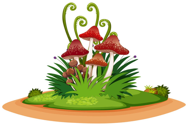 Nature landscape of park with grass and mushroom - Vector, Image
