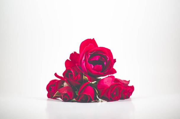 Beautiful red roses on a white surface with white background - Valokuva, kuva