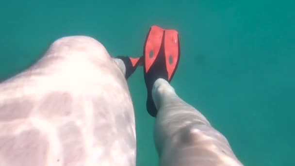 άνθρωπος πόδια σε ρακέτες υποβρύχιες καλοκαιρινές διακοπές - Πλάνα, βίντεο