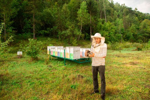 Um apicultor em uma touca protetora prepara uma ferramenta para fumar abelhas de uma colmeia no apiário. Fumaça para abelhas, equipamento em apiário
 - Foto, Imagem