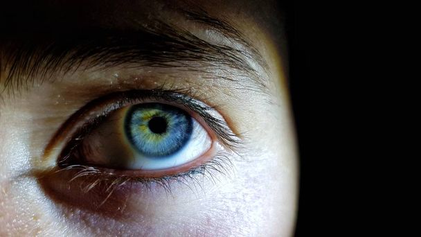 Beautiful closeup shot of a female human's deep blue eyes - Foto, Bild