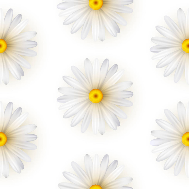 Seamless pattern with white petal chamomiles - Вектор,изображение