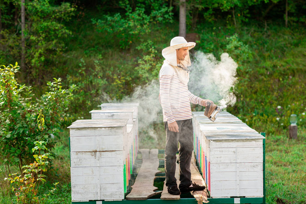 Kovanların arasında kalaslarla kaplı metal bir çerçeve üzerinde koruyucu kapaklı bir arı yetiştiricisi duruyor. Kovanda, arıları tüttürmek için bir alet. - Fotoğraf, Görsel