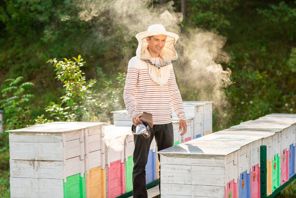Pszczelarz pali pszczoły w procesie zbierania miodu w drewnianych, kolorowych ule. Narzędzie Pszczelarstwo - Zdjęcie, obraz