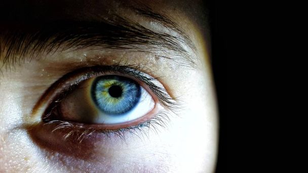 wunderschöne Nahaufnahme der tiefblauen Augen eines weiblichen Menschen - Foto, Bild