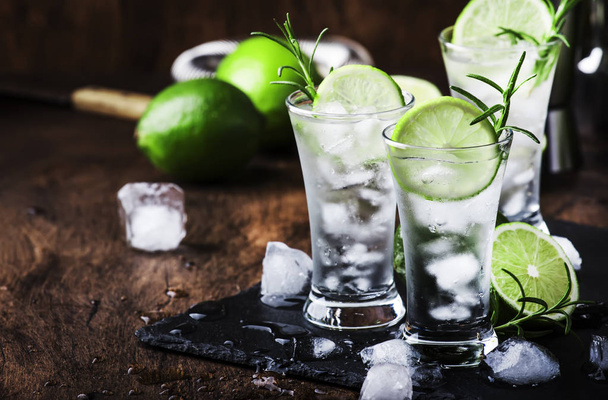 Classic gin tonic cocktail with lime, ice and rosemary. Vintage bar, evening atmosphere, bar tools - Fotoğraf, Görsel