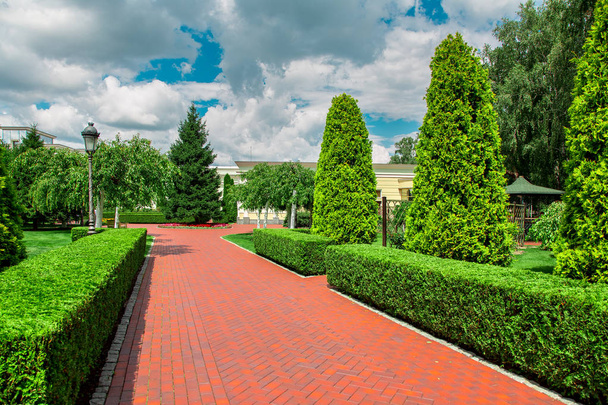 pedestrian pavement from paving slabs in the backyard of the building with a hedge of thuja bushes and other plants with white clouds in the blue sky. - Photo, image
