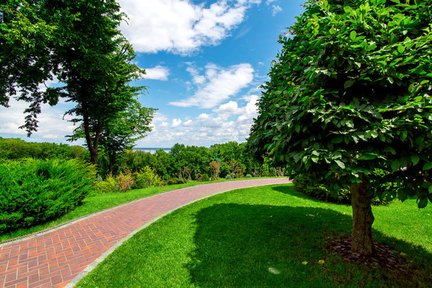 park with a pedestrian walkway from paving slabs for walks among green plants with a grass lawn and a tree with bushes with a cloudy sky. - Photo, Image