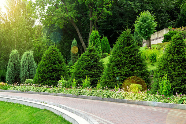 curved pedestrian walkway made of tiles with a stone curb along a flower bed with pine trees, in the background deciduous trees and a green lawn with sun flare. - Photo, Image