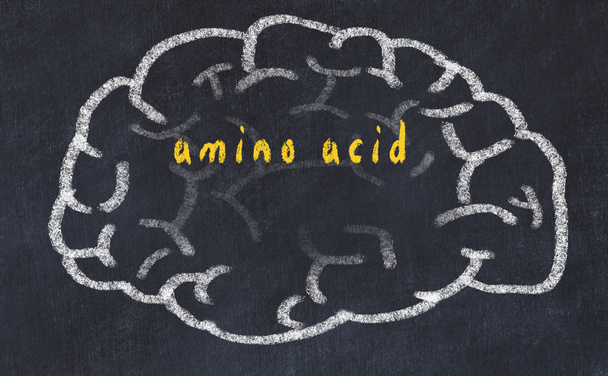 Drawind van menselijk brein op krijtbord met inscriptie aminozuur - Foto, afbeelding