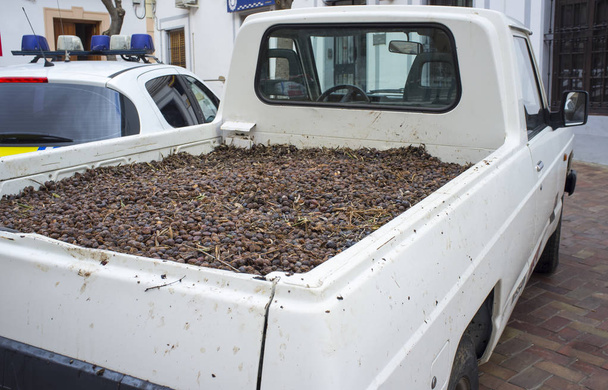 Pick-up voertuig veel in beslag genomen olijven vruchten - Foto, afbeelding