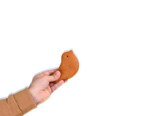 Gingerbread in the form of a bird in children's hands isolated on a white background. - Photo, Image