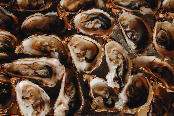 delicious mouth-watering open oysters close-up in a luxurious restaurant for dinner - 写真・画像