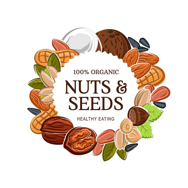 Super aliments noix et graines, bio saine alimentation
 - Vecteur, image
