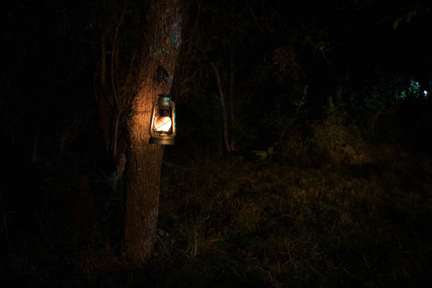 Horror Halloween concept. Burning old oil lamp in forest at night. Night scenery of a nightmare scene. - Photo, Image
