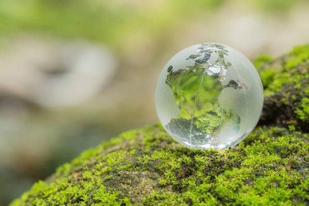 Primer plano del globo de vidrio en el bosque
.     - Foto, imagen