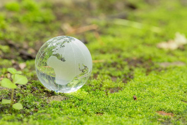 Close up of glass globe in the forest.     - Φωτογραφία, εικόνα