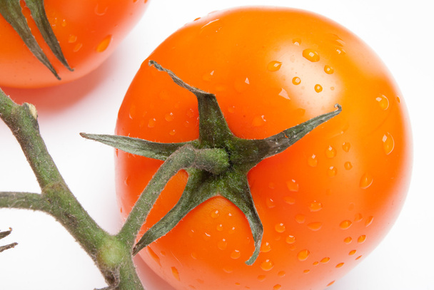 Red Tomatoes on a White Background - Photo, Image