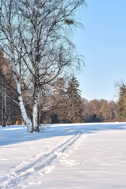 ski tracks in the snow - Φωτογραφία, εικόνα