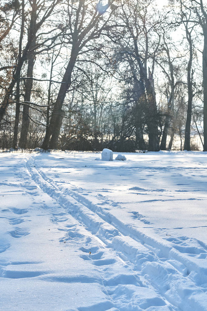 Лижні траси на снігу
 - Фото, зображення