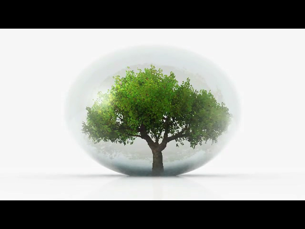 Tree in a bubble - Footage, Video
