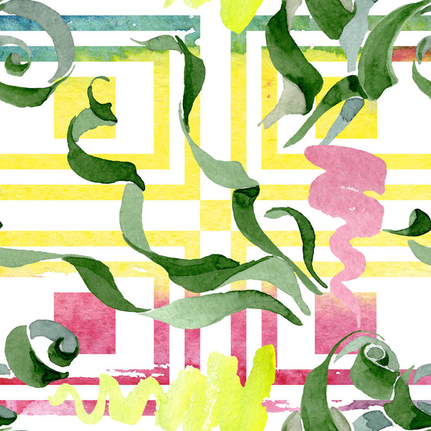 アルブカカナデンシス花植物の花。水彩画の背景セット。シームレスな背景パターン. - 写真・画像