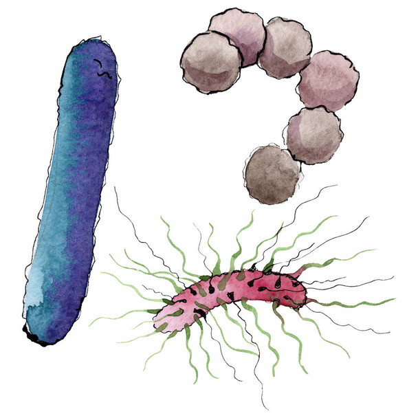 Μικρόβιο ή μικρόβιο πνίγονται εικόνα. Σετ φόντου για υδατογραφήματα. Στοιχείο απεικόνισης μεμονωμένου μικροοργανισμού. - Φωτογραφία, εικόνα