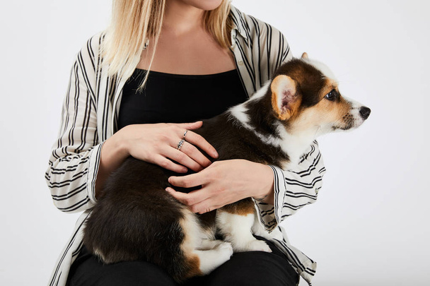 cropped view of blonde girl holding cute welsh corgi puppy isolated on white - Photo, Image