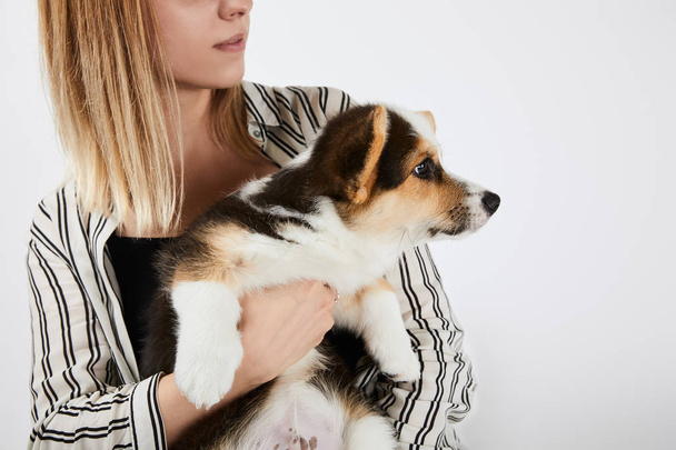 cropped view of blonde woman holding cute welsh corgi puppy isolated on white - Fotografie, Obrázek