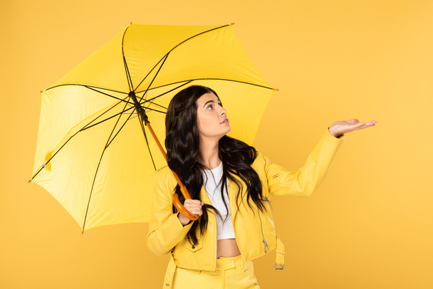 hermosa chica pensativa posando con paraguas, aislado en amarillo
 - Foto, Imagen