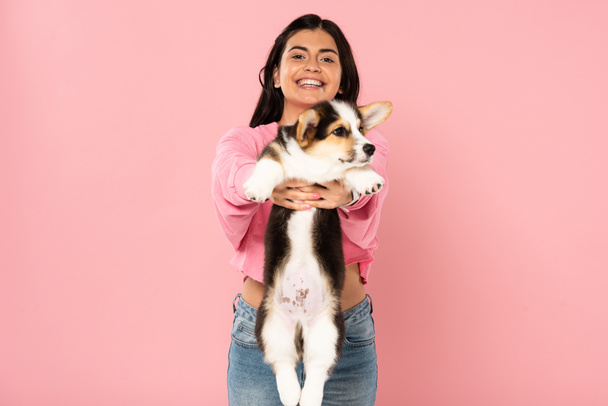 happy attractive girl holding Welsh Corgi puppy, isolated on pink - Foto, Imagen