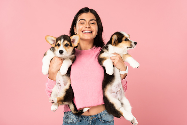 beautiful smiling woman holding Welsh Corgi puppies, isolated on pink - Fotó, kép
