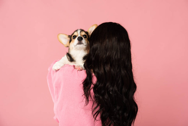 rear view of brunette girl holding Corgi puppy, isolated on pink - Foto, imagen