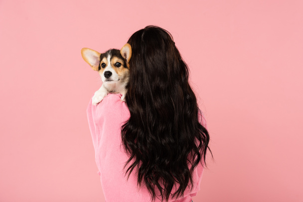 back view of brunette woman holding Corgi puppy, isolated on pink - Foto, Imagem