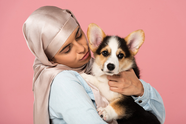 muzułmańska dziewczyna w hidżab gospodarstwa Welsh Corgi psa, izolowane na różowy - Zdjęcie, obraz
