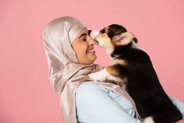かわいいコーギーの子犬を保持するヒジャーブで笑顔イスラムの女の子、ピンクに隔離 - 写真・画像
