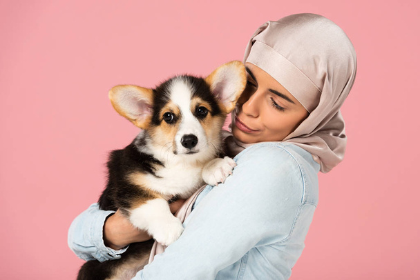 счастливая девушка в хиджабе, держащая симпатичного щенка корги, изолированного на розовом
 - Фото, изображение