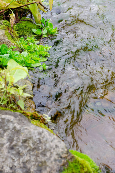 Uma fonte pitoresca com água clara, pedras e musgo. O conceito de calma. Zen...
 - Foto, Imagem