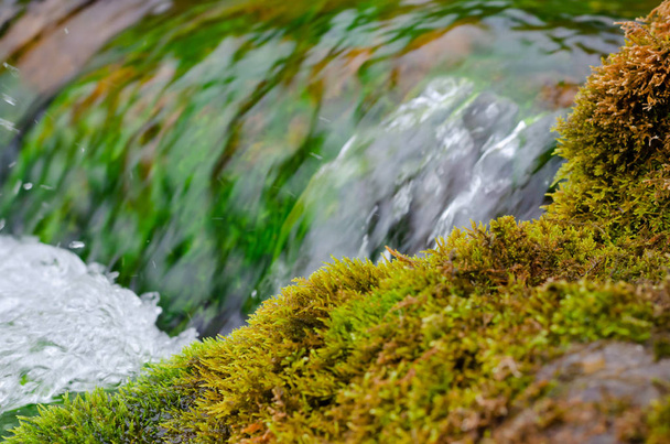 A picturesque spring with clear water, stones and moss. The concept of calm. Zen - Photo, Image