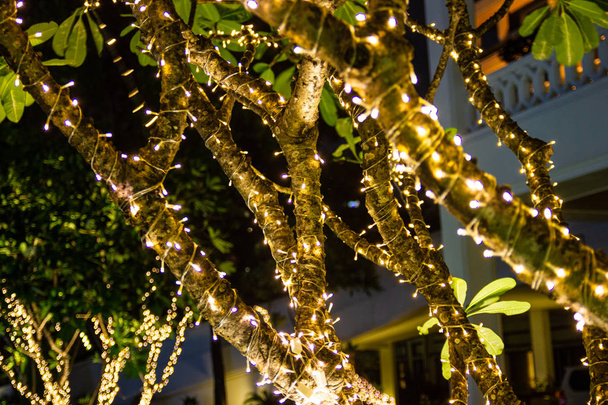 Decoratieve buiten string lichten opknoping op boom in de tuin bij nacht tijd festivals seizoen - decoratieve lichten van Kerstmis - gelukkig Nieuwjaar  - Foto, afbeelding