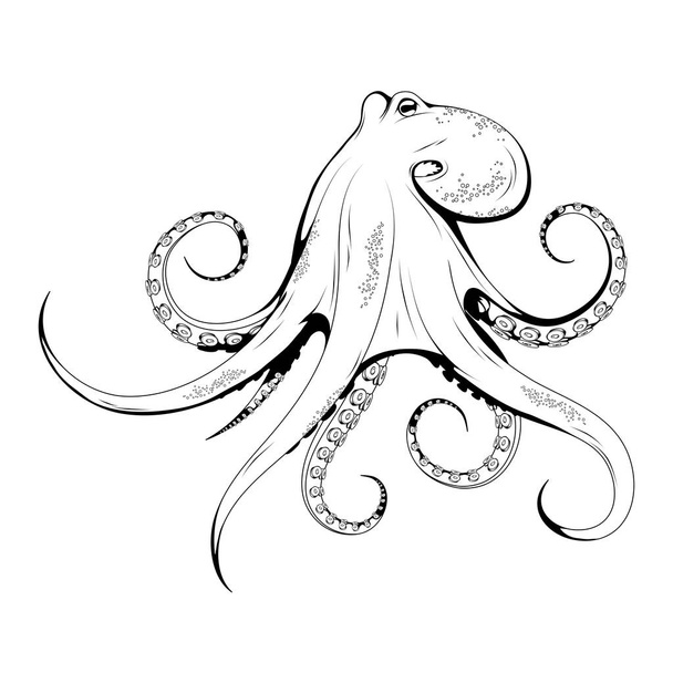 Hand Drawn Octopus. Sea Food. Octopus. Sea Fish.Tasty Seafood. Ocean Sport Fishing. Fresh Seafood Product. Delicious Octopus. Fish Meal Diet. Big Best Octopus. Fishing. Vector graphics to design. - Διάνυσμα, εικόνα