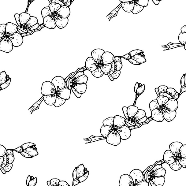 sketch of cherry blossoms, graphics, seamless cherry blossom pattern - 写真・画像