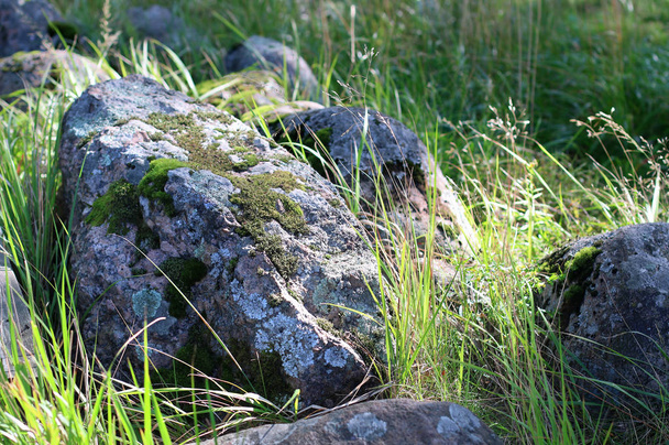 Graniet. Rotsen met mos. Forest. Grote stenen op groen gras. Mos op een rotswand. Reliëf en textuur van steen met patronen. Natuursteen natuurlijke achtergrond. Noordelijke natuur, zomer, herfst. - Foto, afbeelding