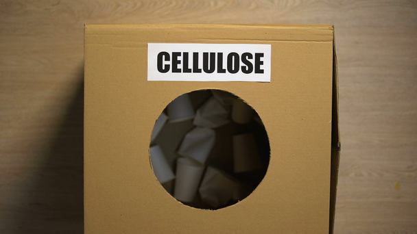Słowo celulozy napisane na pudełku dla papierowych kubków, zbieranie odpadów do bezpiecznej utylizacji - Materiał filmowy, wideo